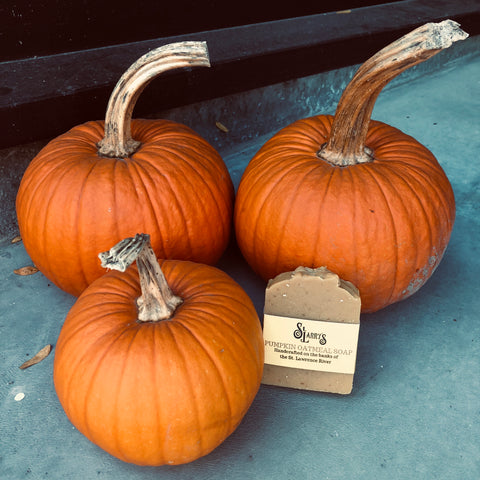 Pumpkin Oatmeal Soap - Ward Family Farms